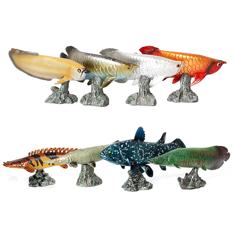 Kids Toys Reviews - Arowana Pirarucu Coelacanth Bichir Timsah Balık