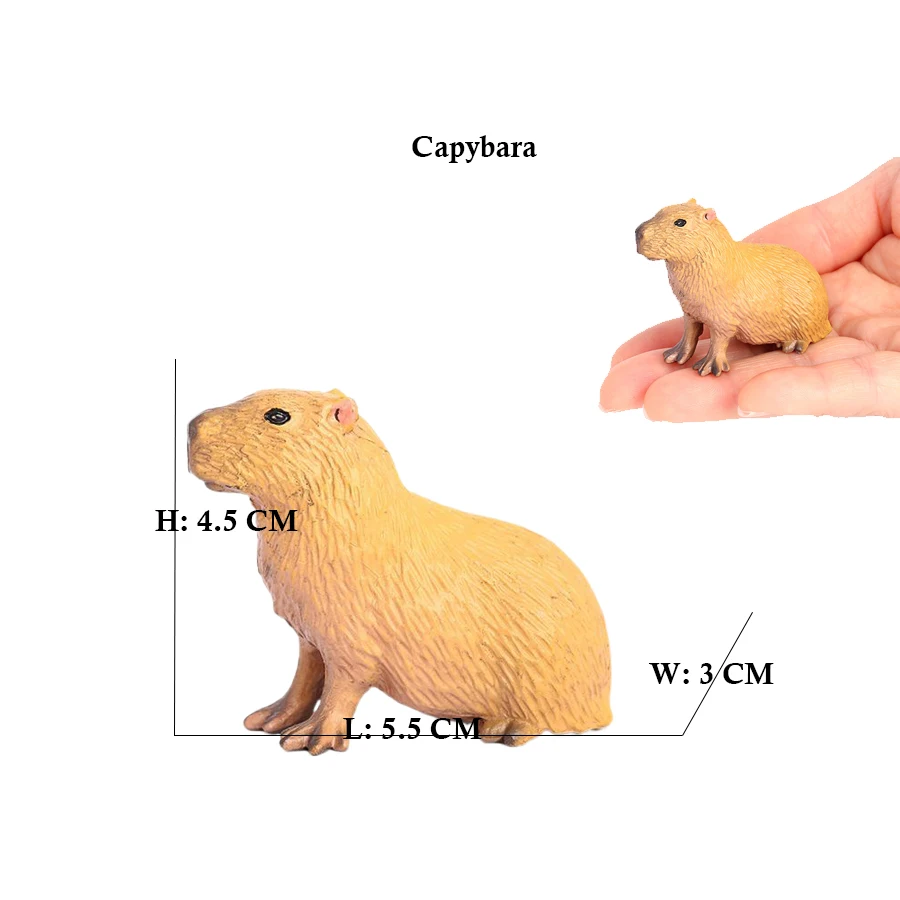 Capibara Capybaras Sincap Marm - Kids Toys Reviews incelemesi ve fiyatı