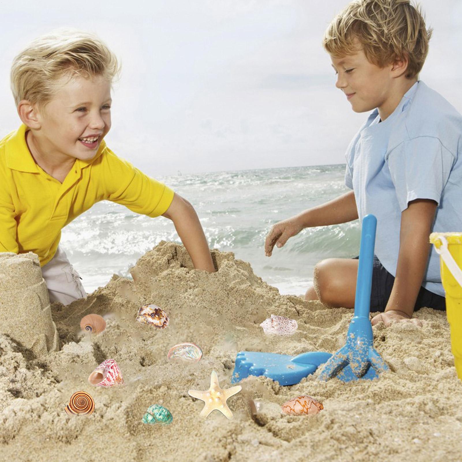 2025 Deniz Kabukları Advent Ta - Kids Toys Christmas 2025 incelemesi ve fiyatı