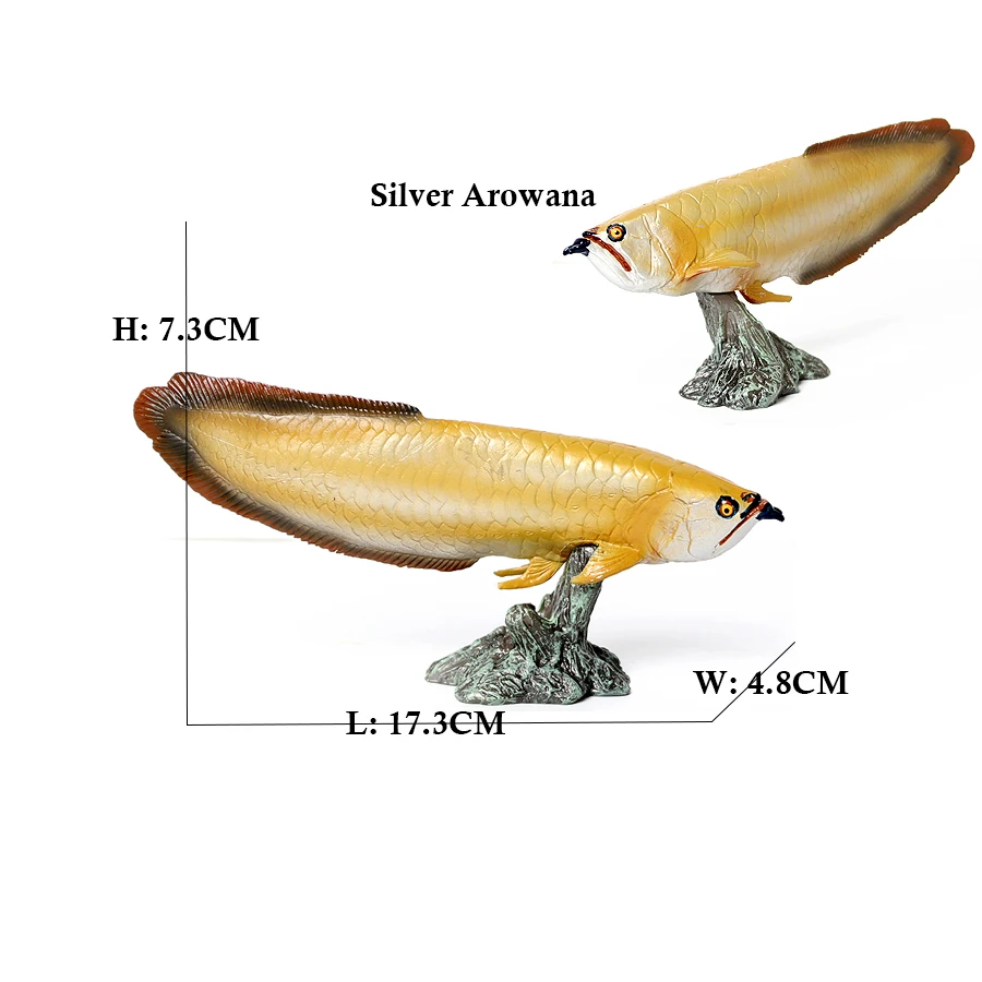 Arowana Pirarucu Coelacanth Bi - Kids Toys Reviews incelemesi ve fiyatı