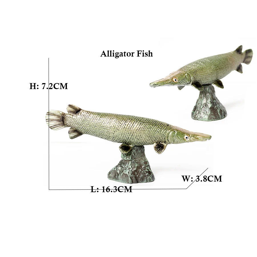Arowana Pirarucu Coelacanth Bi - Kids Toys Reviews incelemesi ve fiyatı