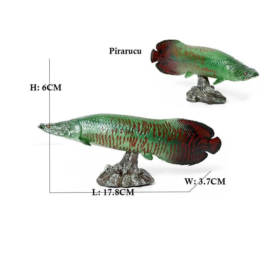 Arowana Pirarucu Coelacanth Bi - Kids Toys Reviews incelemesi ve fiyatı