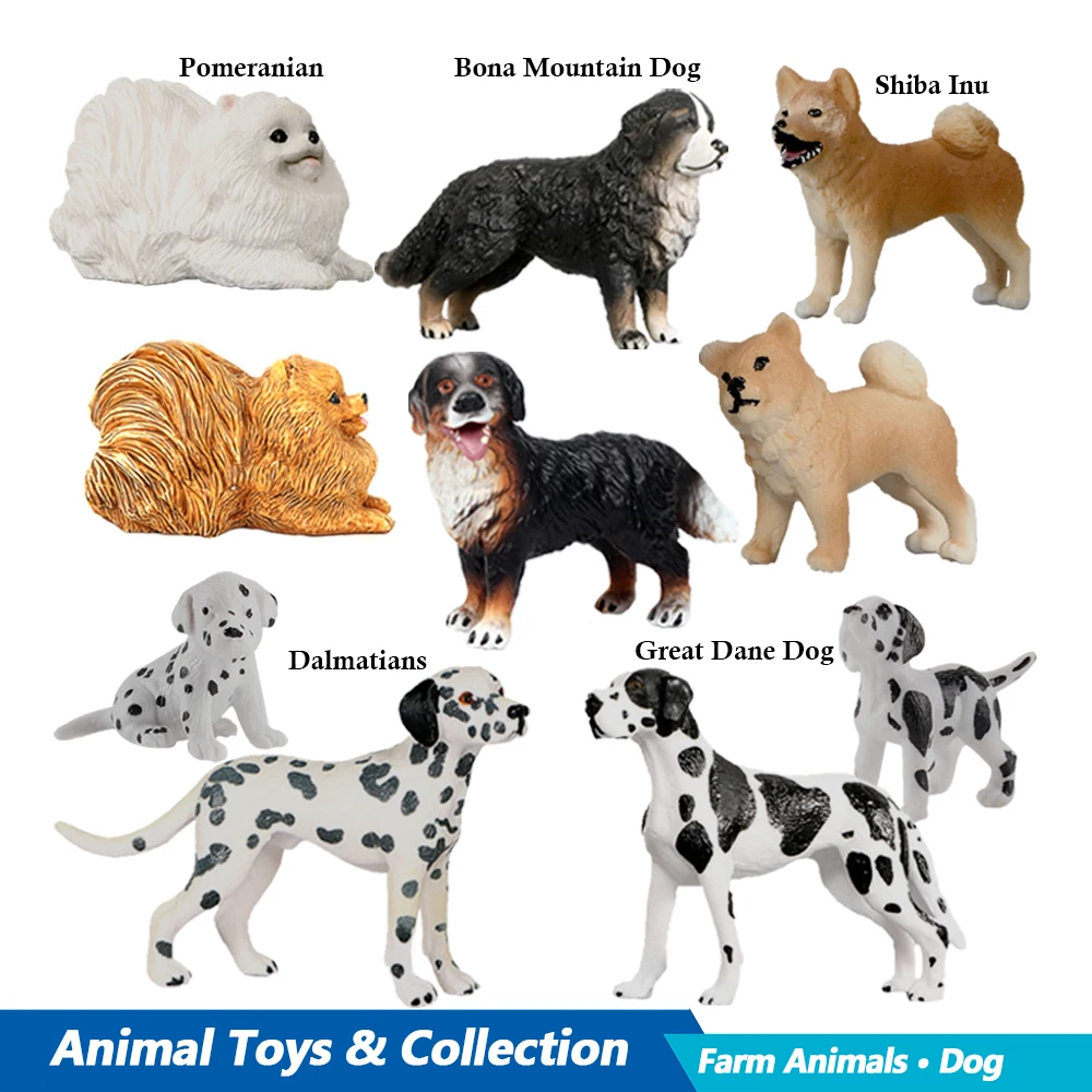 Labrador Kaniş Rottweiler Bona - Kids Toys Reviews incelemesi ve fiyatı